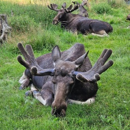 nordkap rundreise 2025__1